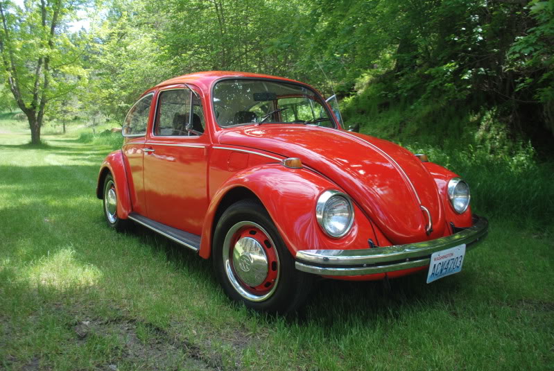 Name:  DSC_0001.jpg
Views: 40
Size:  126.3 KB