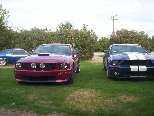 Challenger finally Released!-100_7309.jpg