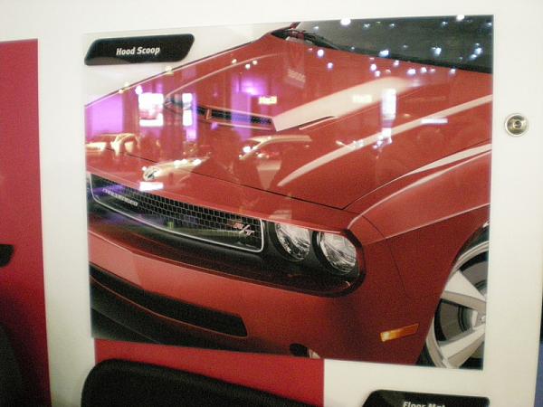 chally accesories/options-dscn0587.jpg