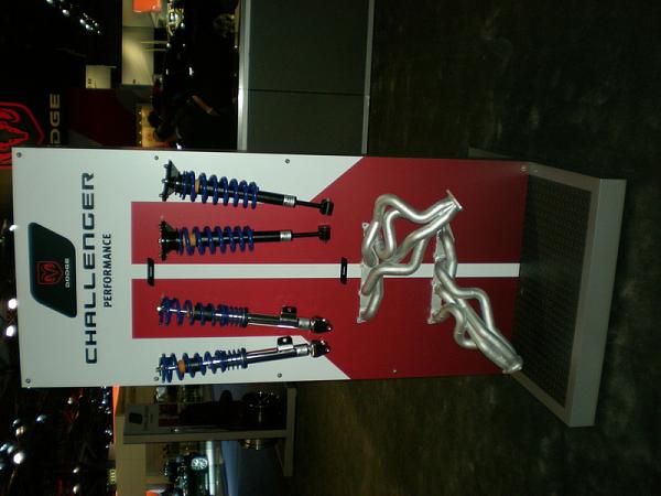 chally accesories/options-dscn0584.jpg