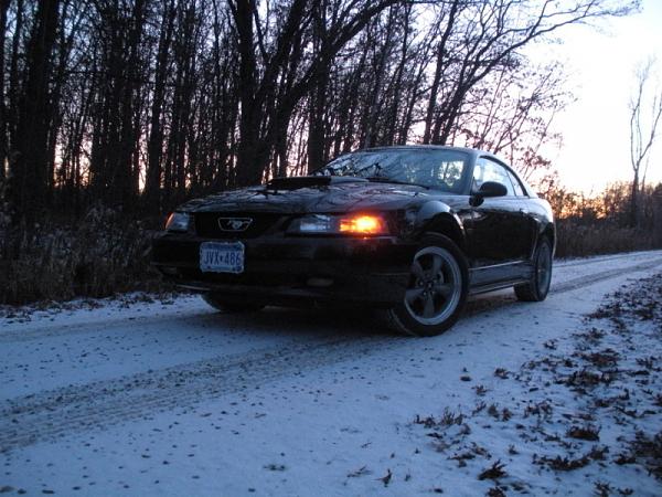 What is your Daily Driver?-nsp002-1.jpg