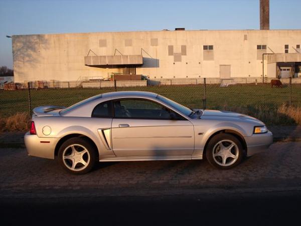What is your Daily Driver?-bb.jpg