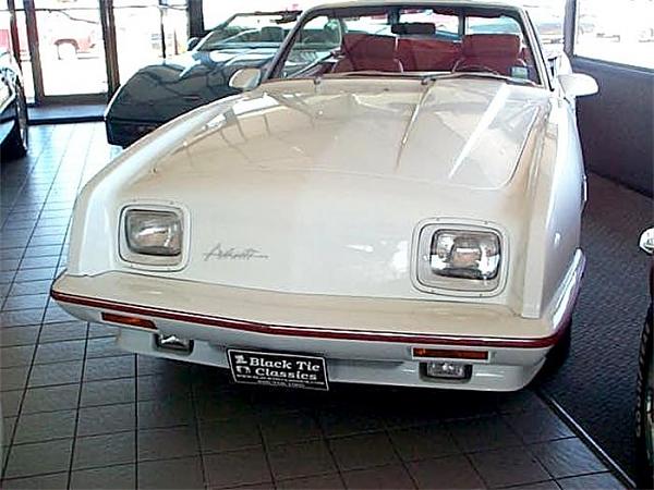 Avanti Mustang!-537336.jpg