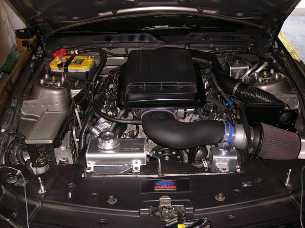 Wax on - Wax off-fogs-006.jpg