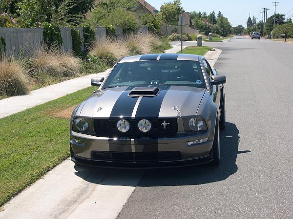Wax on - Wax off-fogs-007.jpg