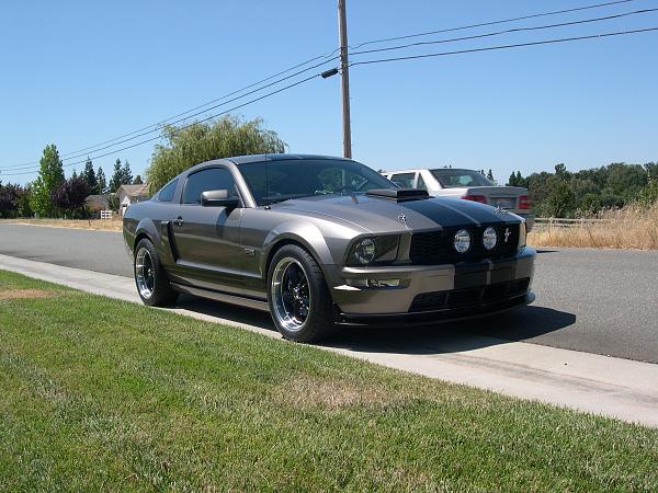 Wax on - Wax off-fogs-009.jpg