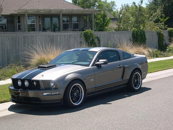 Wax on - Wax off-fogs-010.jpg