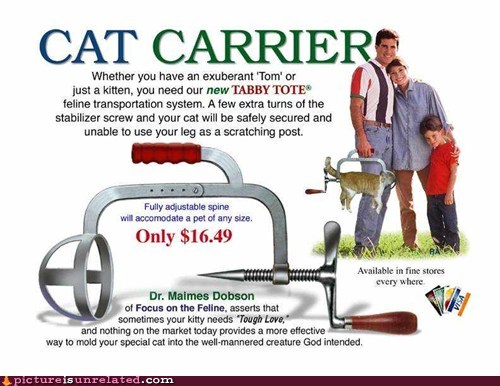 Name:  wtf-photos-videos-mr-whiskers-will-thank-you.jpg
Views: 229
Size:  57.2 KB