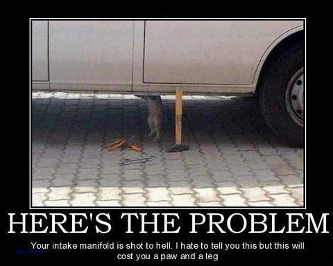 Name:  image-3741424796.jpg
Views: 254
Size:  94.2 KB