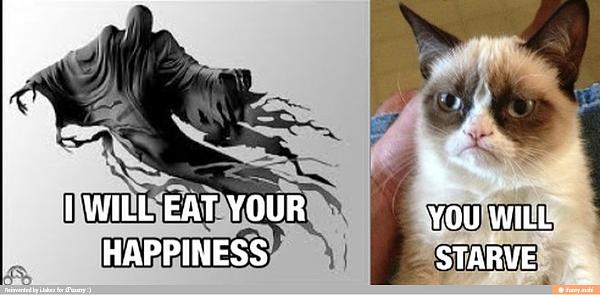 The TMS Cat Thread!-image-4003948399.jpg