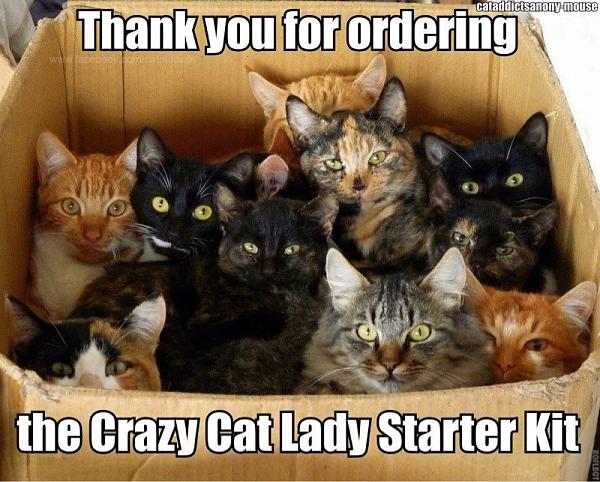 The TMS Cat Thread!-image-1330452189.jpg