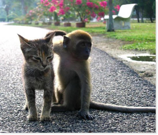 Name:  image-497615047.jpg
Views: 145
Size:  171.3 KB