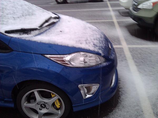 It froze over!!-wp_004349.jpg