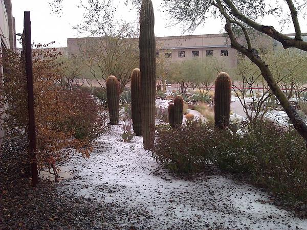 It froze over!!-wp_004356.jpg