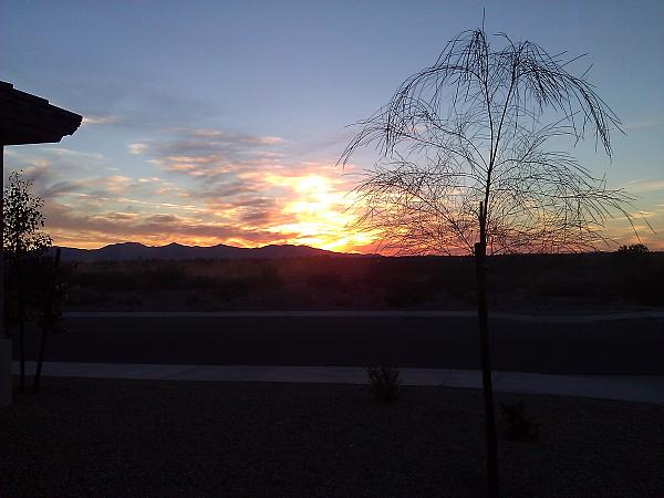 It froze over!!-wp_004332.jpg