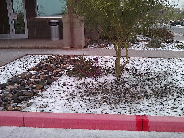 It froze over!!-wp_004346.jpg