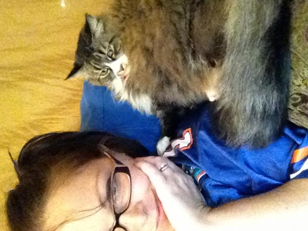 The TMS Cat Thread!-image-496315153.jpg