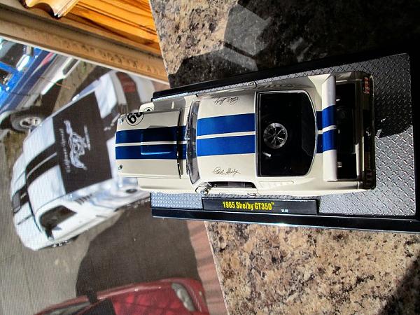 Carrol Shelby Tribute car at toys are us-tribute-2.jpg