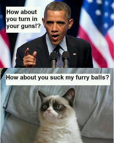 Name:  image-3517825020.jpg
Views: 114
Size:  133.4 KB