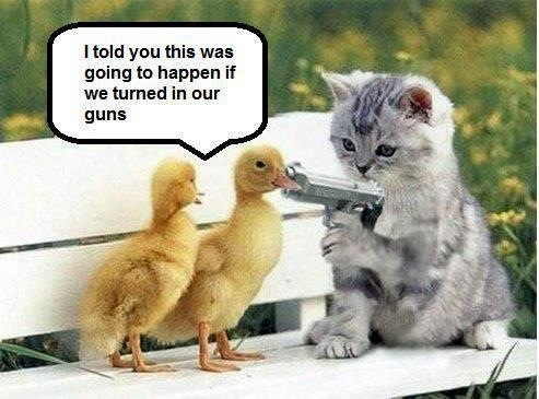 Name:  image-3712366464.jpg
Views: 87
Size:  144.5 KB