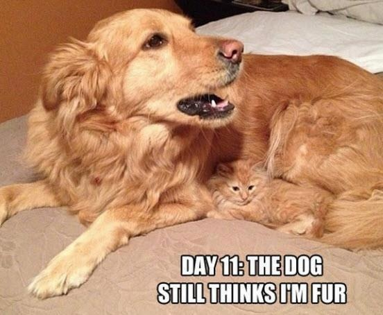 Name:  image-243302788.jpg
Views: 164
Size:  171.2 KB