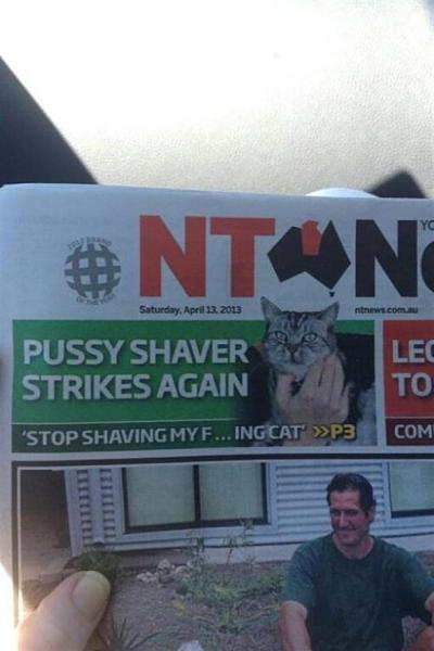 The TMS Cat Thread!-image-2661926872.jpg