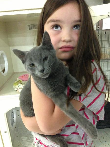 The TMS Cat Thread!-image-483539622.jpg