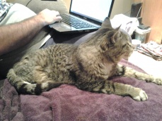 Name:  ForumRunner_20131126_155226.jpg
Views: 166
Size:  22.8 KB