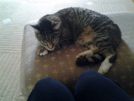 Name:  ForumRunner_20131201_104313.jpg
Views: 65
Size:  20.7 KB