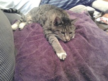 Name:  ForumRunner_20131211_095901.jpg
Views: 118
Size:  21.1 KB