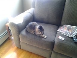 Name:  ForumRunner_20131215_112547.jpg
Views: 123
Size:  20.2 KB