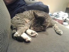 Name:  ForumRunner_20131218_171907.jpg
Views: 94
Size:  21.7 KB