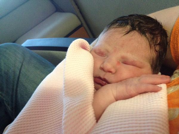 The newest member of the Mustang community-image-1403186869.jpg