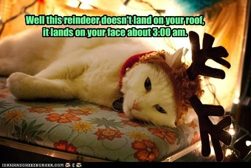 Name:  image-914434799.jpg
Views: 101
Size:  175.8 KB