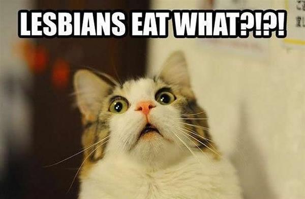 The TMS Cat Thread!-image-2732716013.jpg