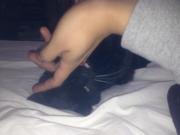 The TMS Cat Thread!-image-278048914.jpg