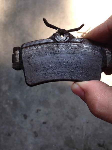 What're you doing?-image-2390400783.jpg