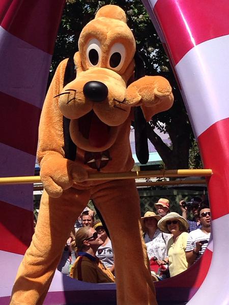 What're you doing?-image-3591348490.jpg