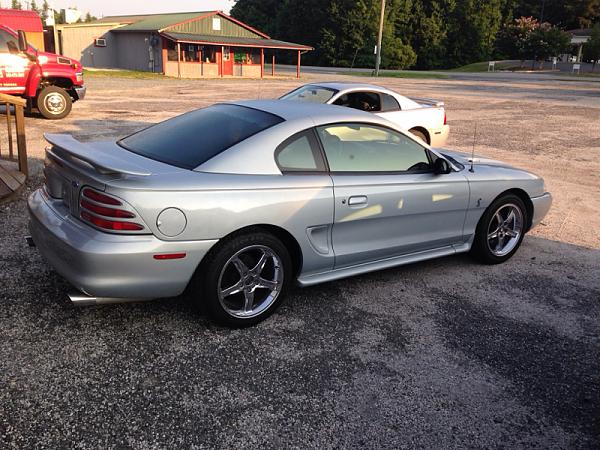 What're you doing?-image-3561912649.jpg