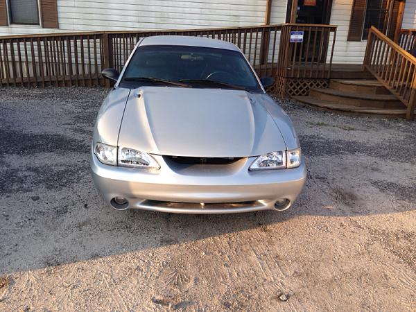 What're you doing?-image-2990032230.jpg