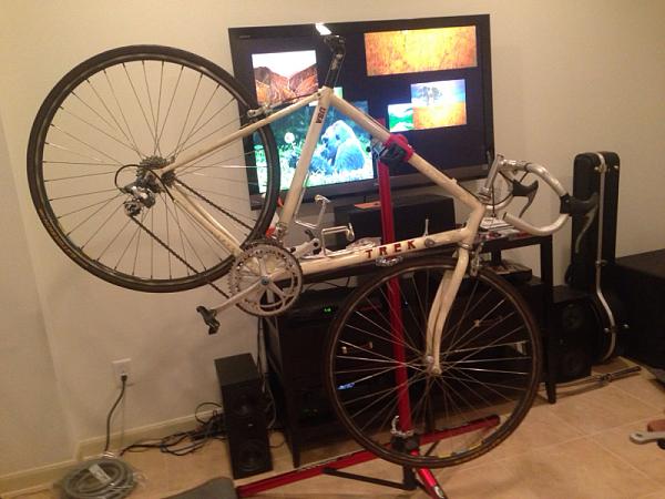 What're you doing?-image-1847218344.jpg