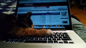 Name:  ForumRunner_20141013_211746.jpg
Views: 168
Size:  24.1 KB