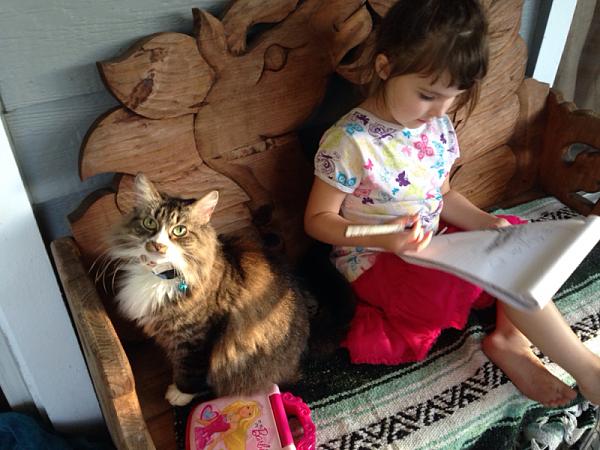 The TMS Cat Thread!-image-738857390.jpg