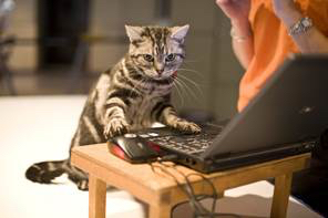 Name:  image-1301150482.jpg
Views: 112
Size:  45.7 KB