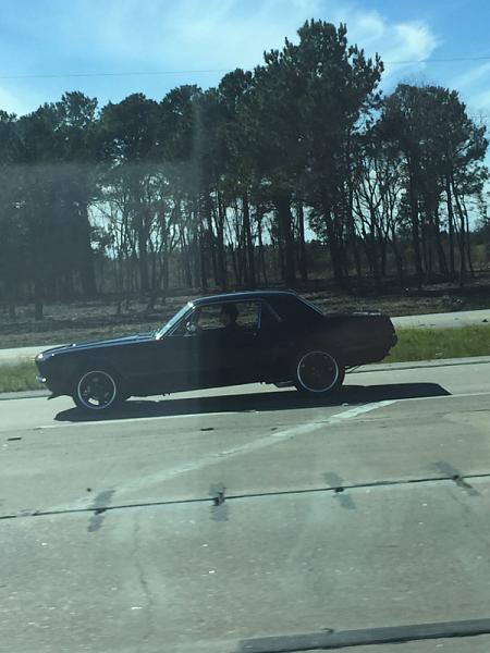 What're you doing?-image-3340586290.jpg