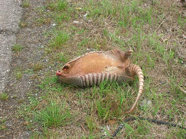 What're you doing?-dscn2582.jpg