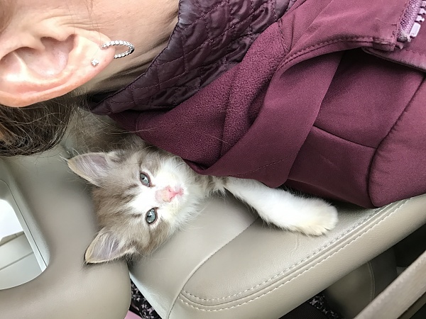 The TMS Cat Thread!-img_9319.jpg