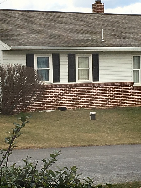 The TMS Cat Thread!-photo907.jpg