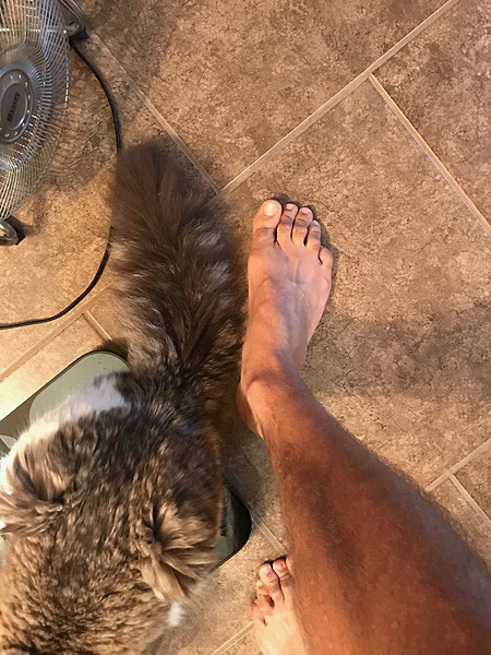 The TMS Cat Thread!-img_0058.jpg