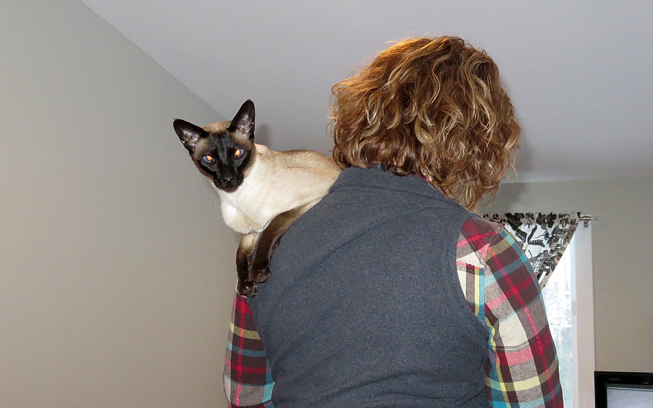 Name:  20170213_JackLisa.jpg
Views: 82
Size:  323.8 KB